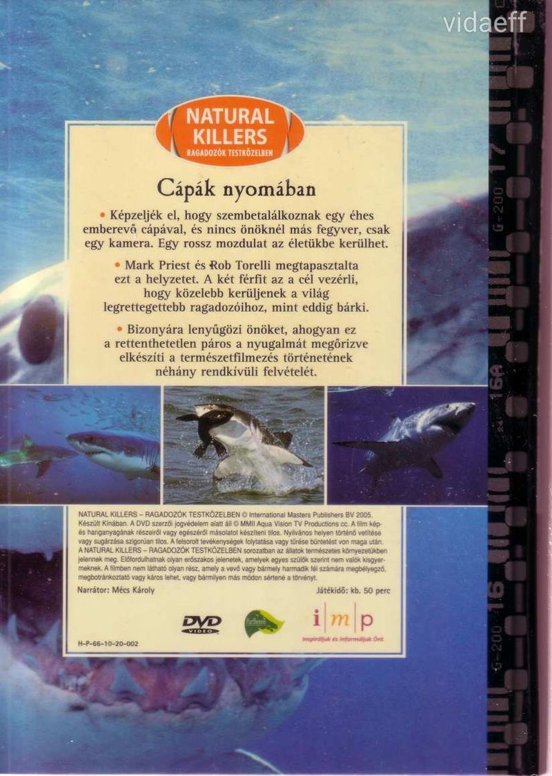 Natural Killers - Cápák nyomában