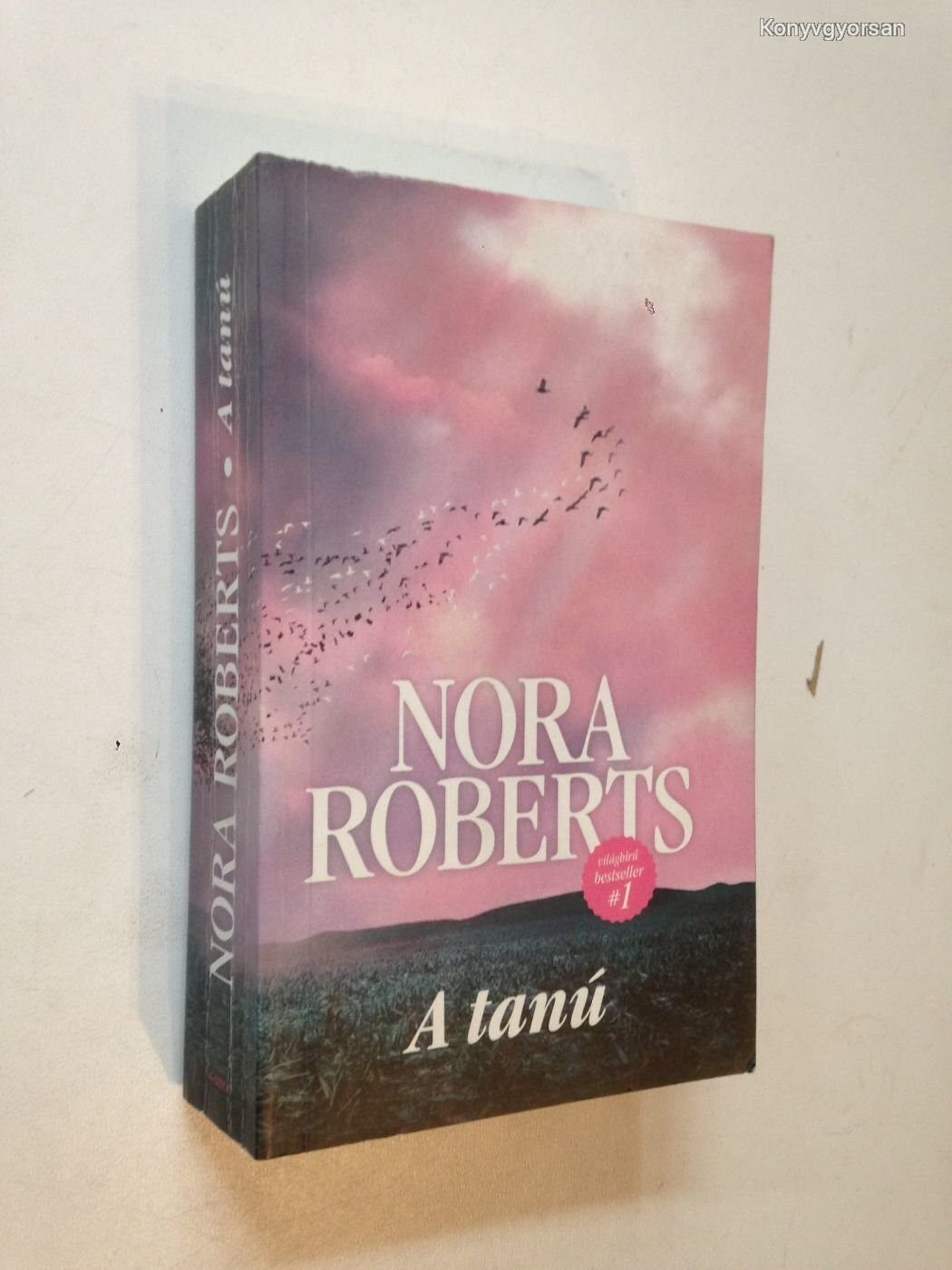 Nora Roberts A tanú (*411)