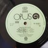 Shocking Blue 9113 0217