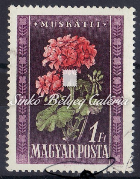 1950. Virág (I.)