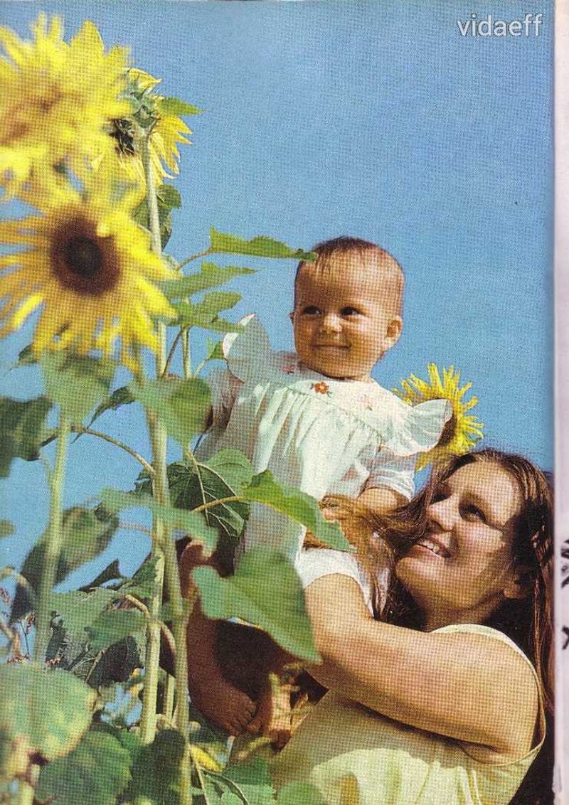 Lvov 1986