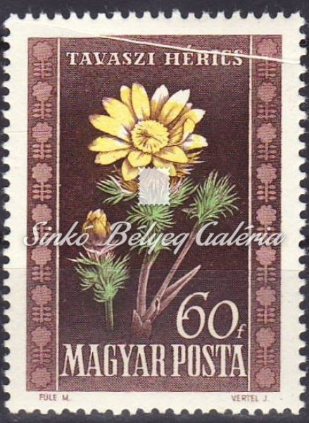 1950. Virág I.