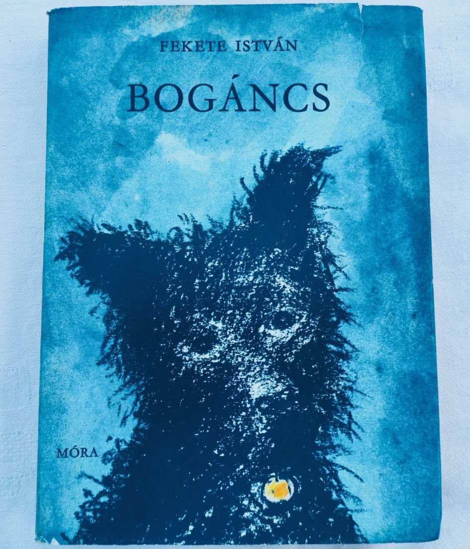 Fekete István: Bogáncs