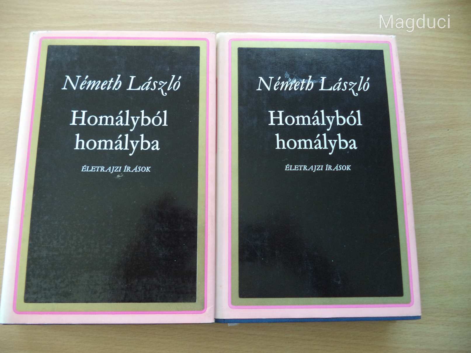 Németh László: Homályból homályba