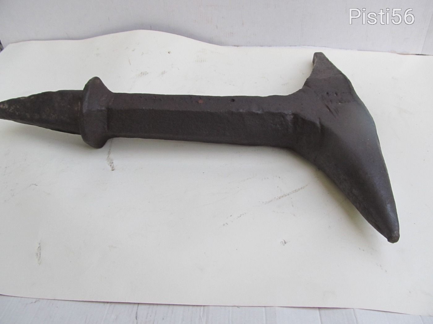 Tábori szarvasüllő / 50 cm