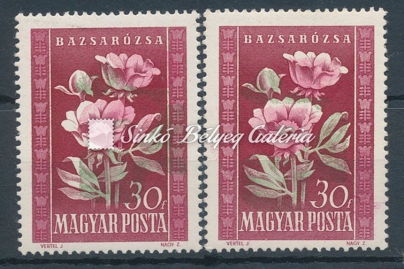 1950. Virág (I.)