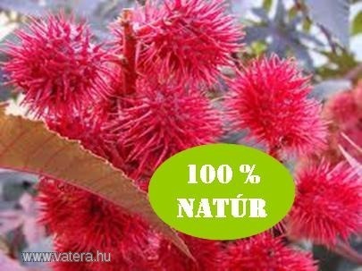 100 ML RICINUS OLAJ
