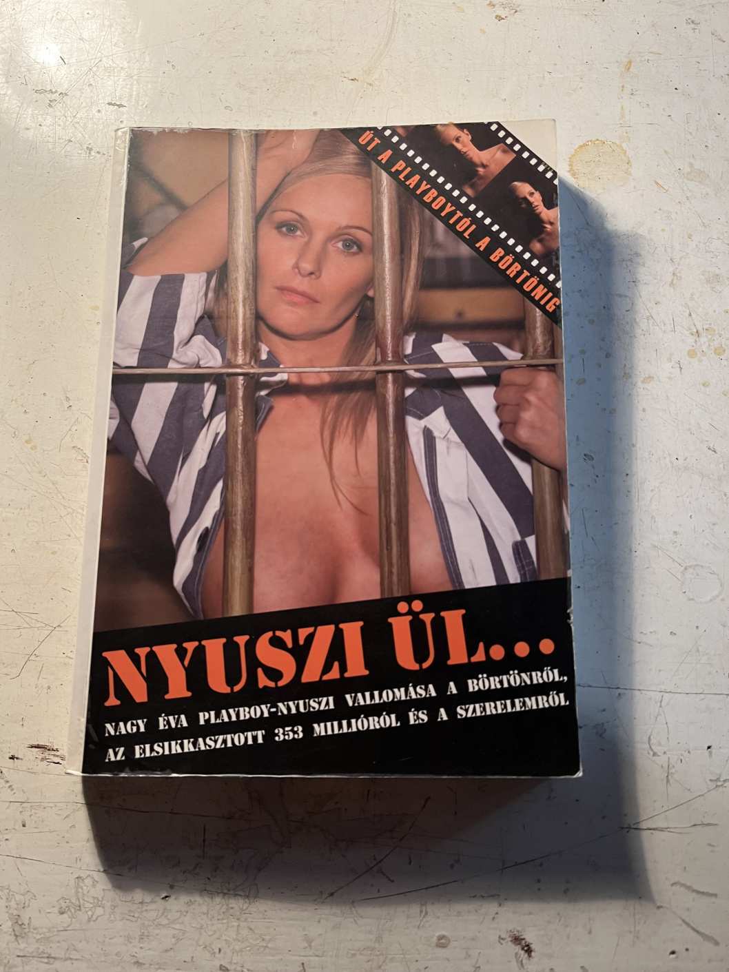 Nyuszi ül Nagy Éva