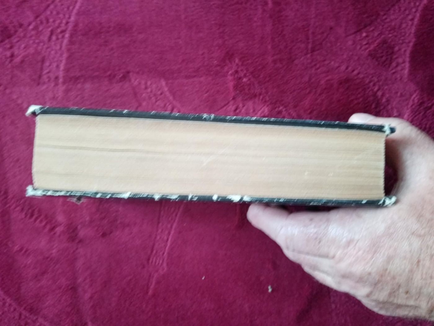 Charlotte Bronte: Shirley