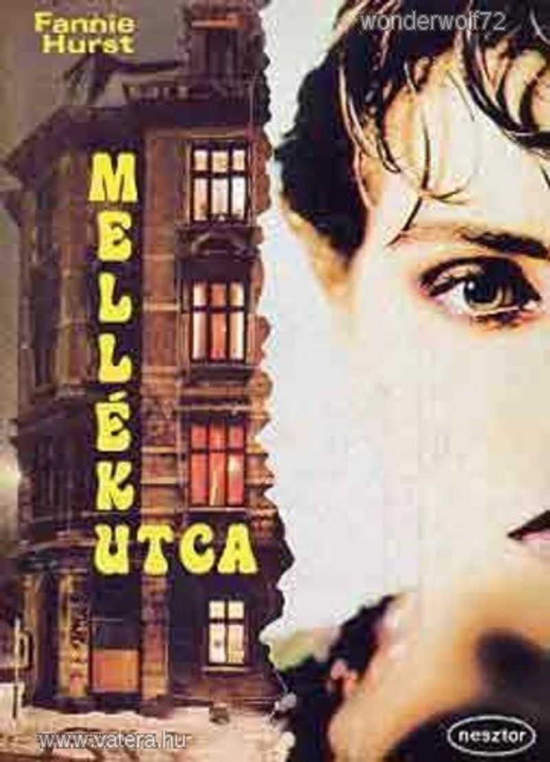 Fannie Hurst: Mellékutca