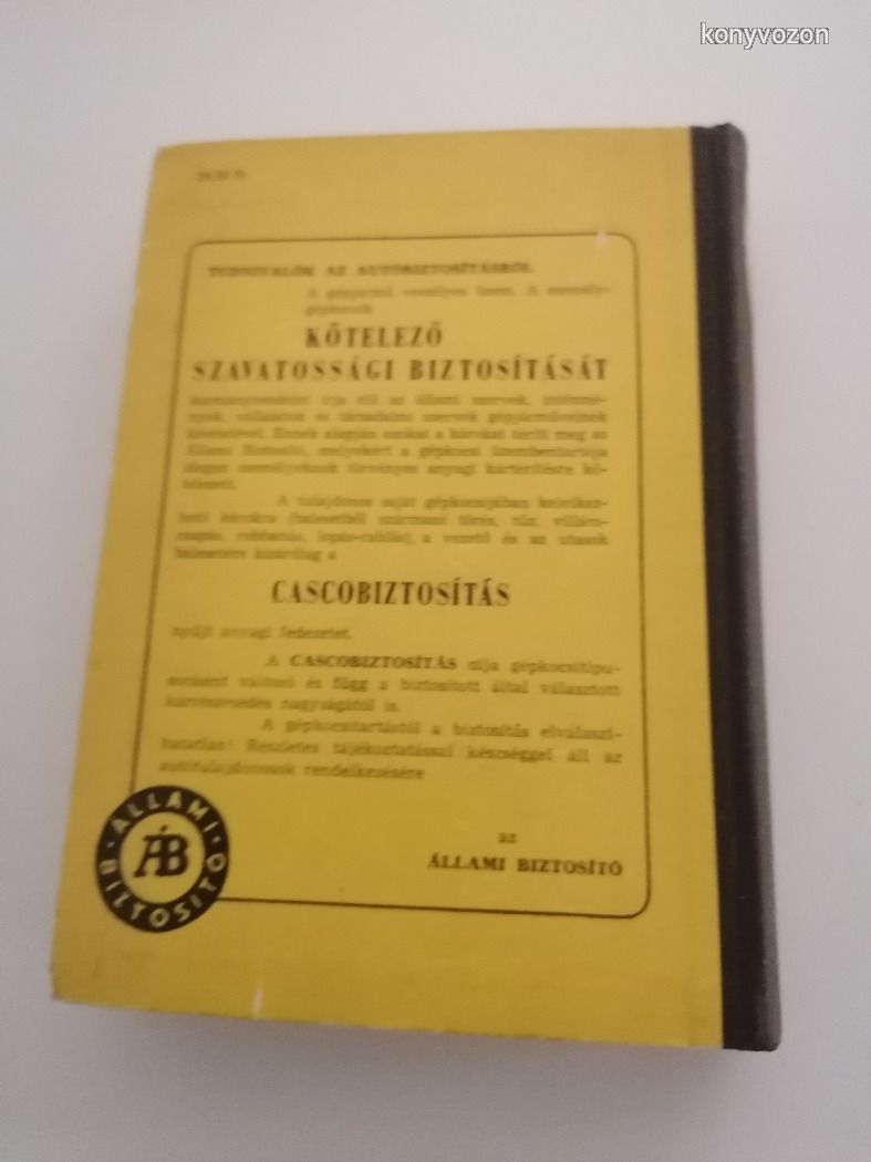 Surányi Endre: Az autó 1968