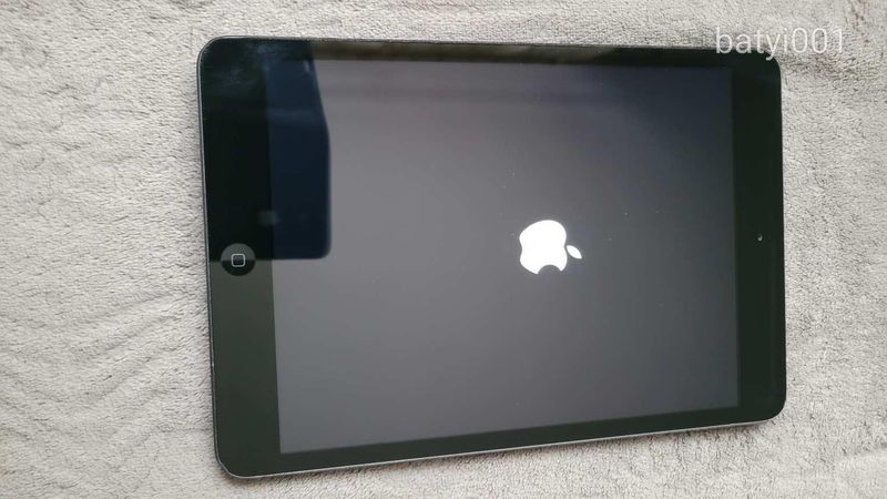 iPad mini A1455  16GB