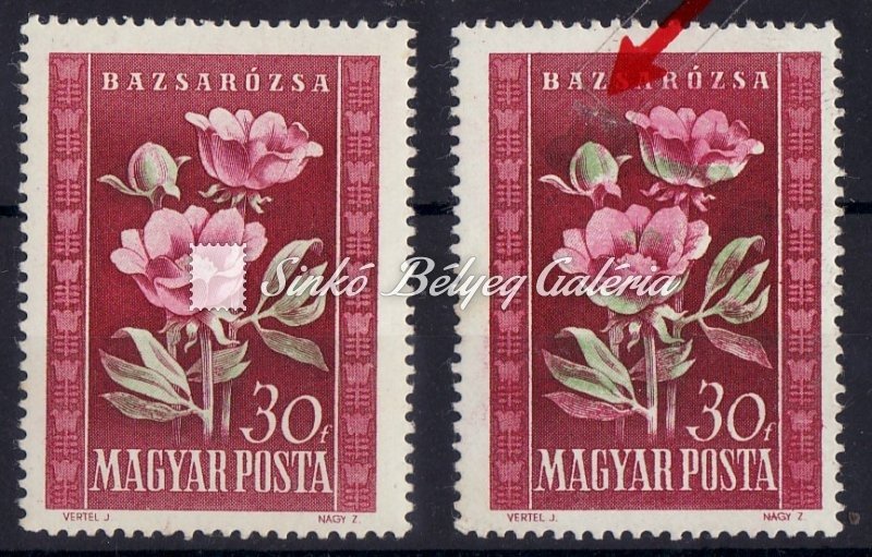 1950_virag_i