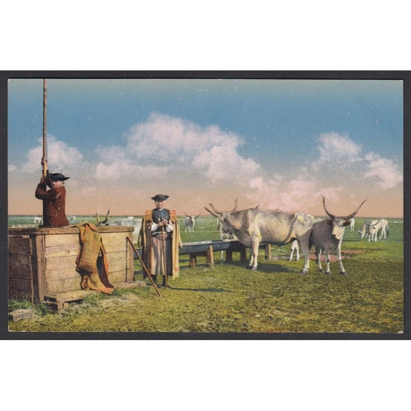 Magyarország, Élet a hortobágyon - Gulya itatás 1912