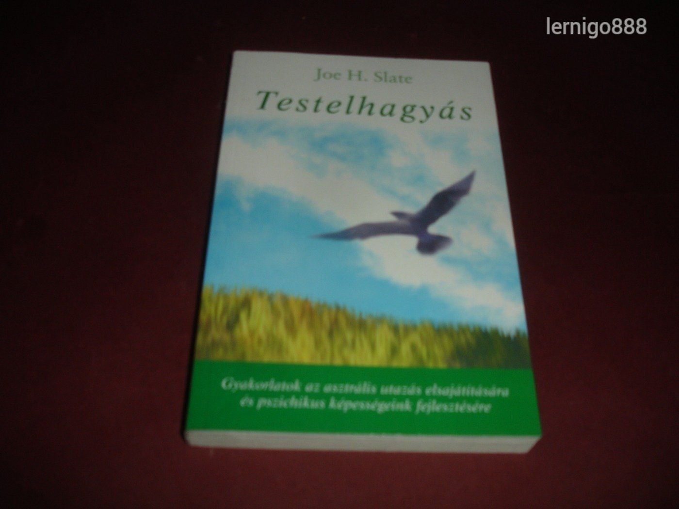 JOE H SLATE TESTELHAGYÁS