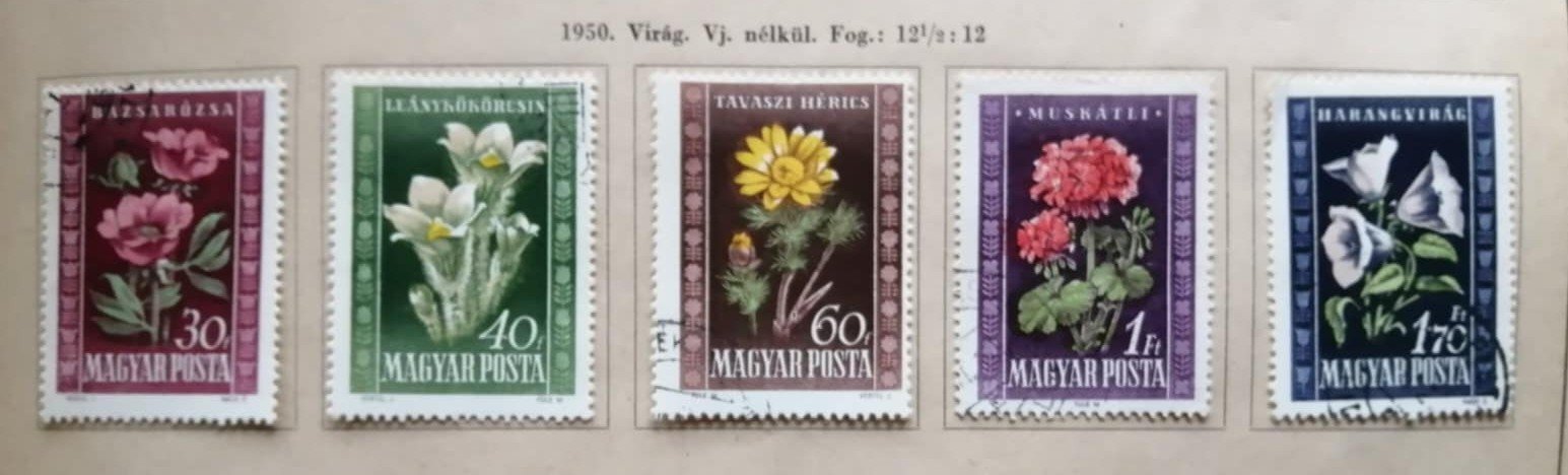 Magyarország, 1950, Virág