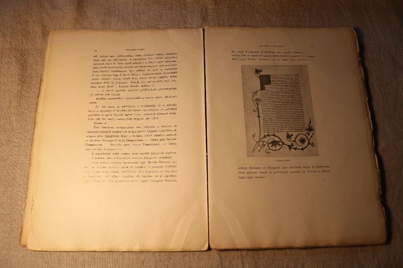 Chronica Hungarorum / Impressa Budae 1473