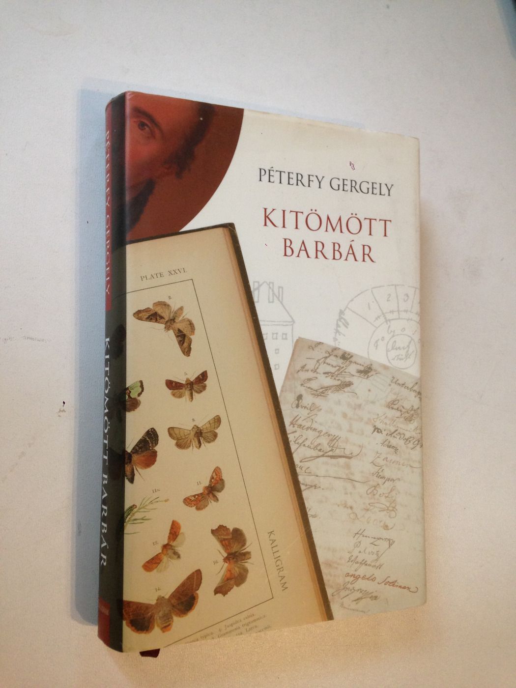 Péterfy Gergely: Kitömött barbár (*412)