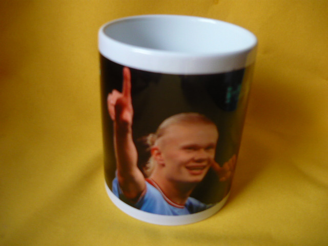 ERLING HAALAND BÖGRE