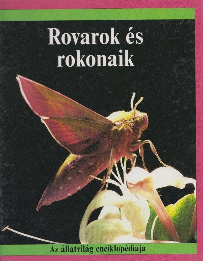Rovarok és rokonaik
