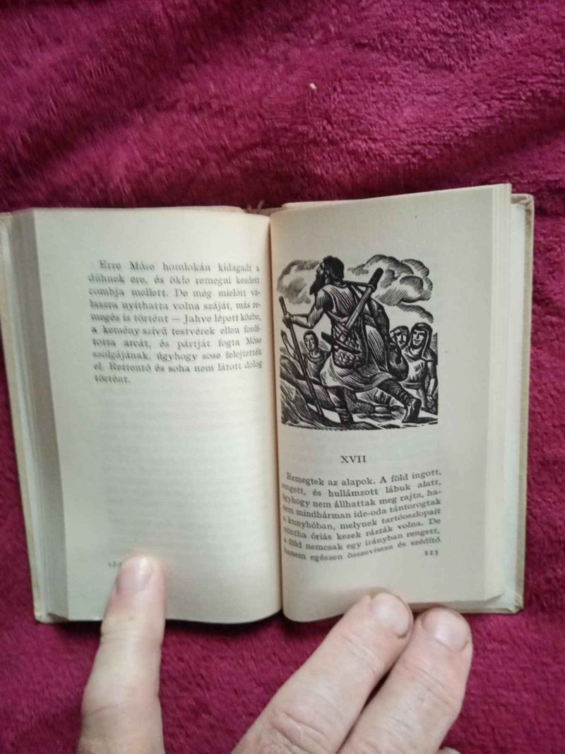 Thomas Mann: A törvény