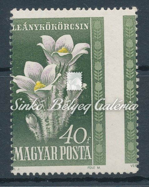 1950. Virág (I.)