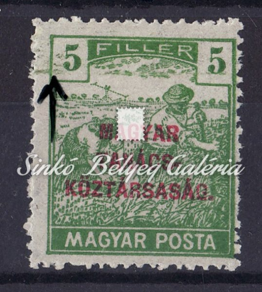 1918. Magyar Tanácsköztársaság