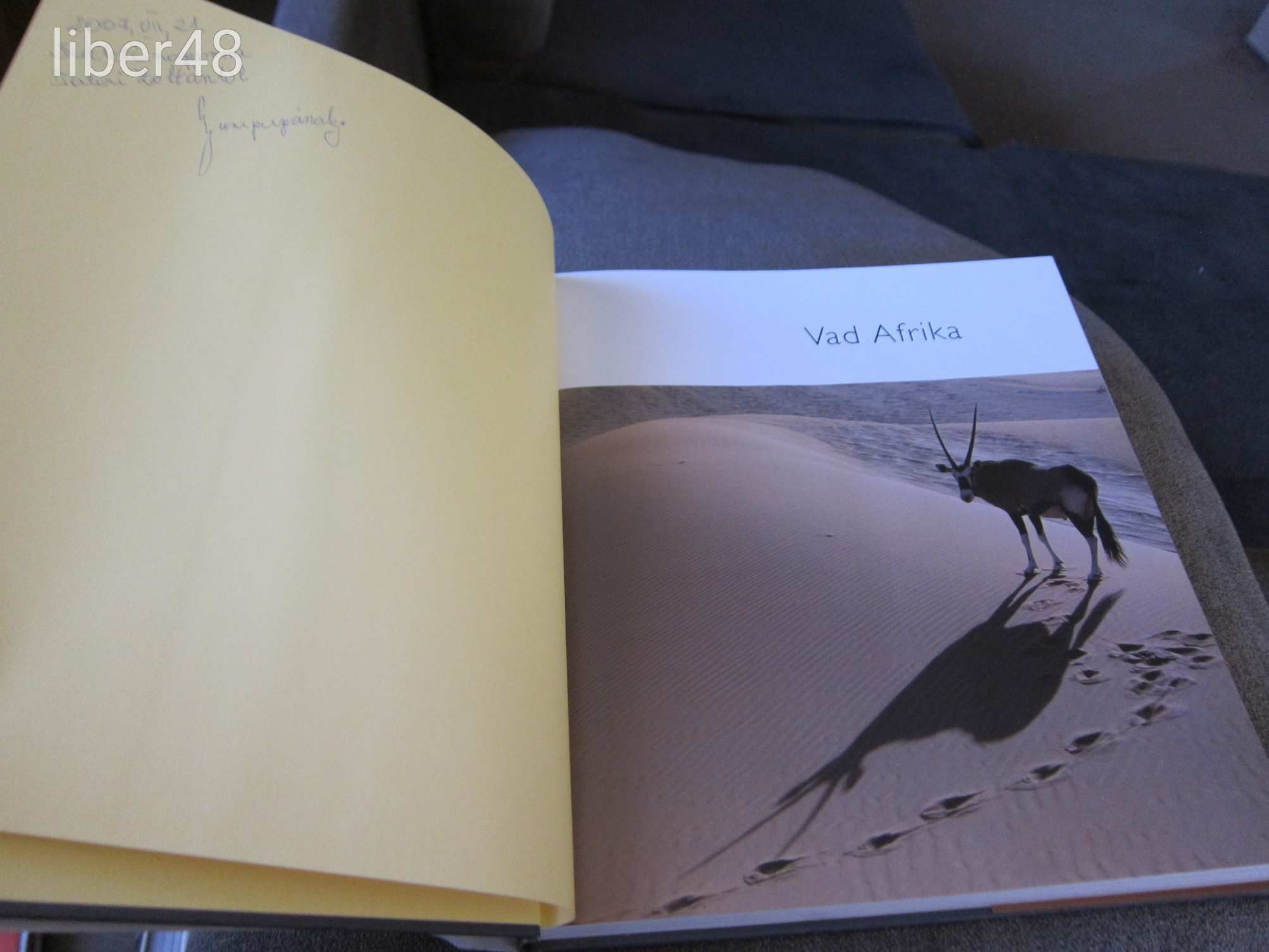 Vad Afrika  -- Patrick Morris , Amanda Barrett