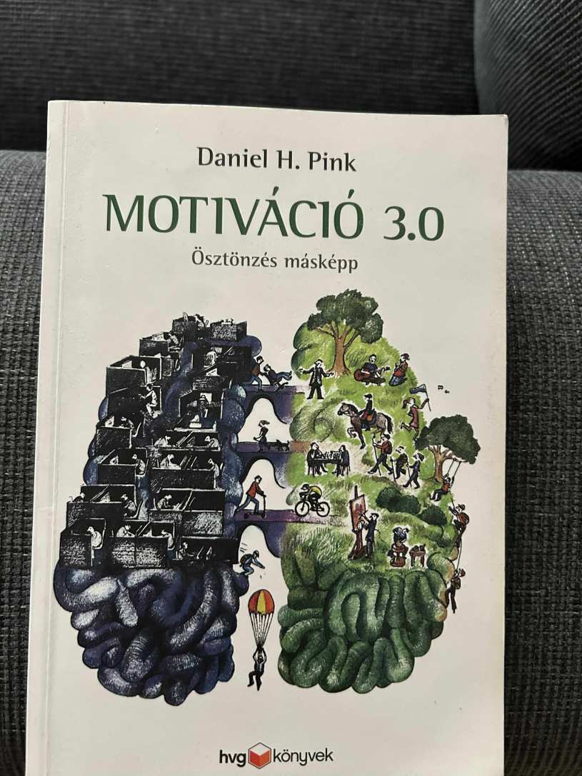 Daniel H. Pink - Motiváció 3.0