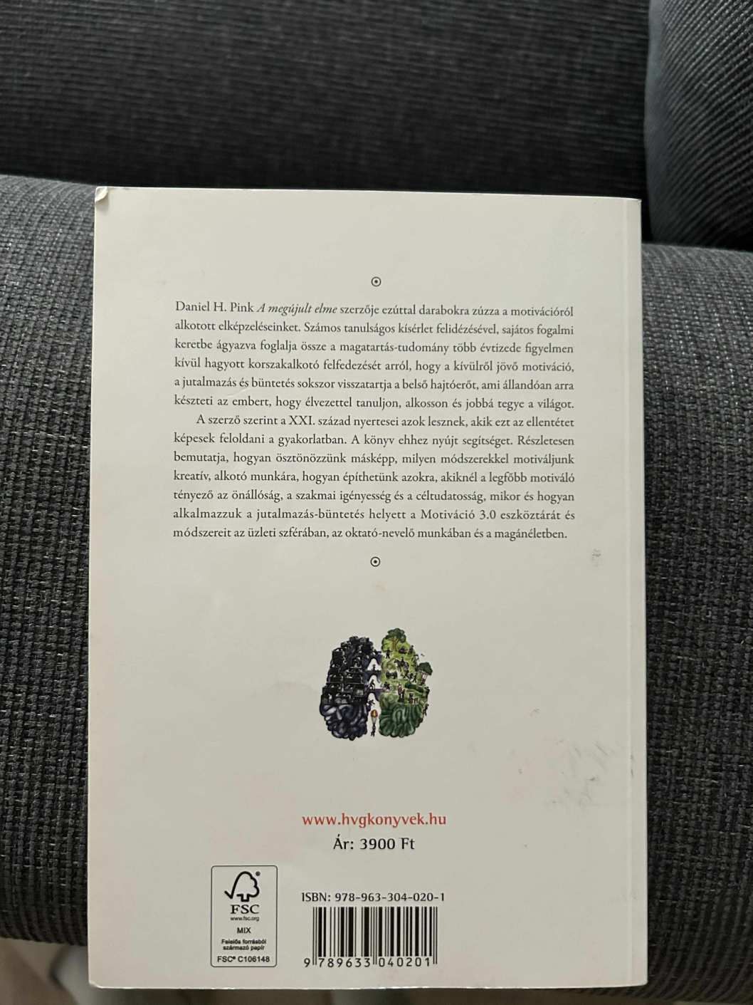 Daniel H. Pink - Motiváció 3.0