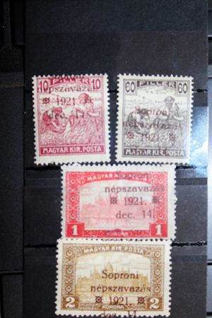 1921. Nyugat-Magyarország VIII. Bodor vizsgálójellel