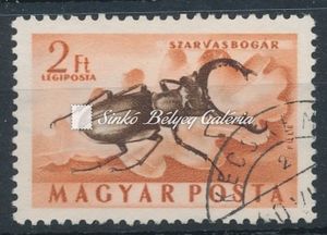 1954. Rovarok - L - tévnyomat