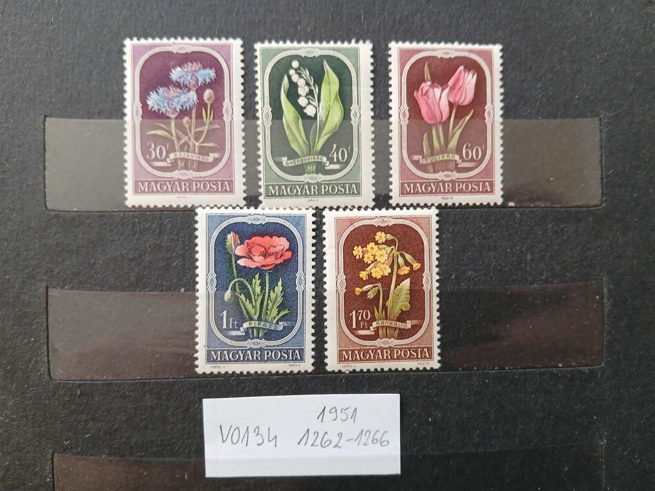 V0134 Magyar bélyeg 1951 1262-1266 postatiszta
