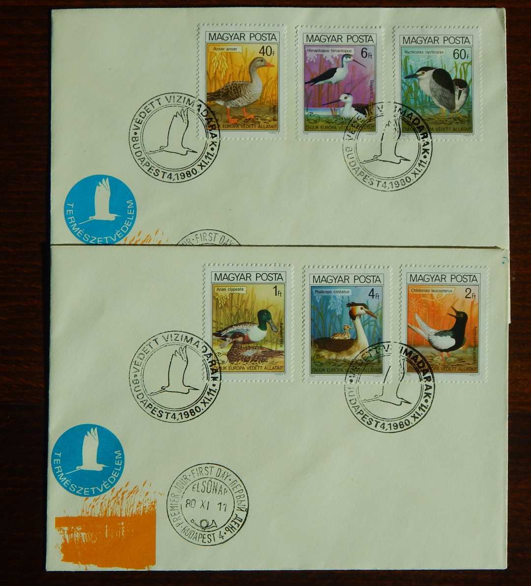 FDC pár 1980. Madarak (IX.) - Védett vízimadarak bélyegsorral 2 borítékon