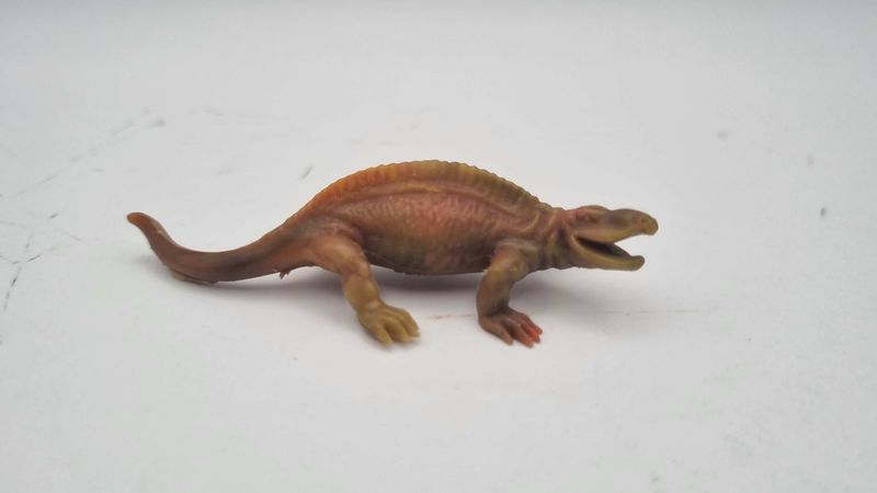 Spenacodon Linde