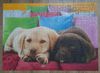 Ravensburger puzzle