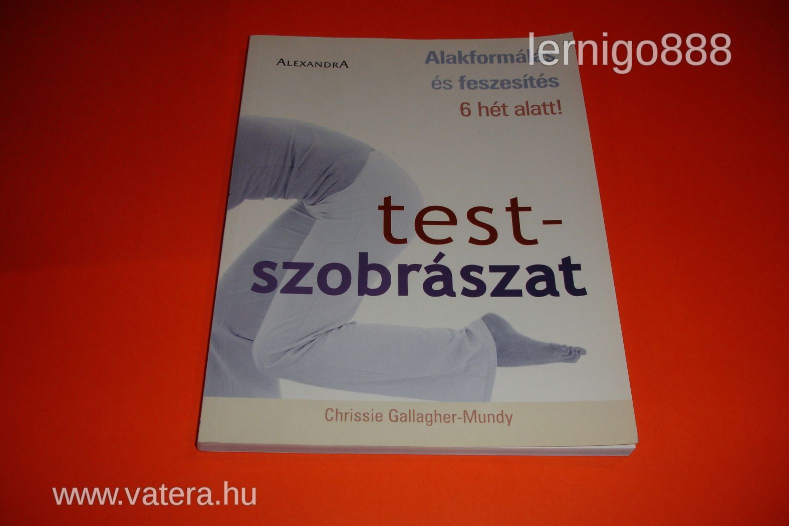 TESTSZOBRÁSZAT ALAKFORMÁLÁS