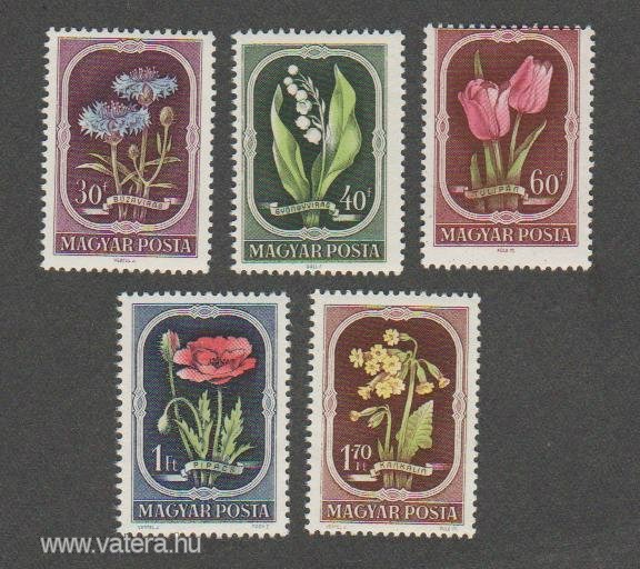 1951.  Virág**