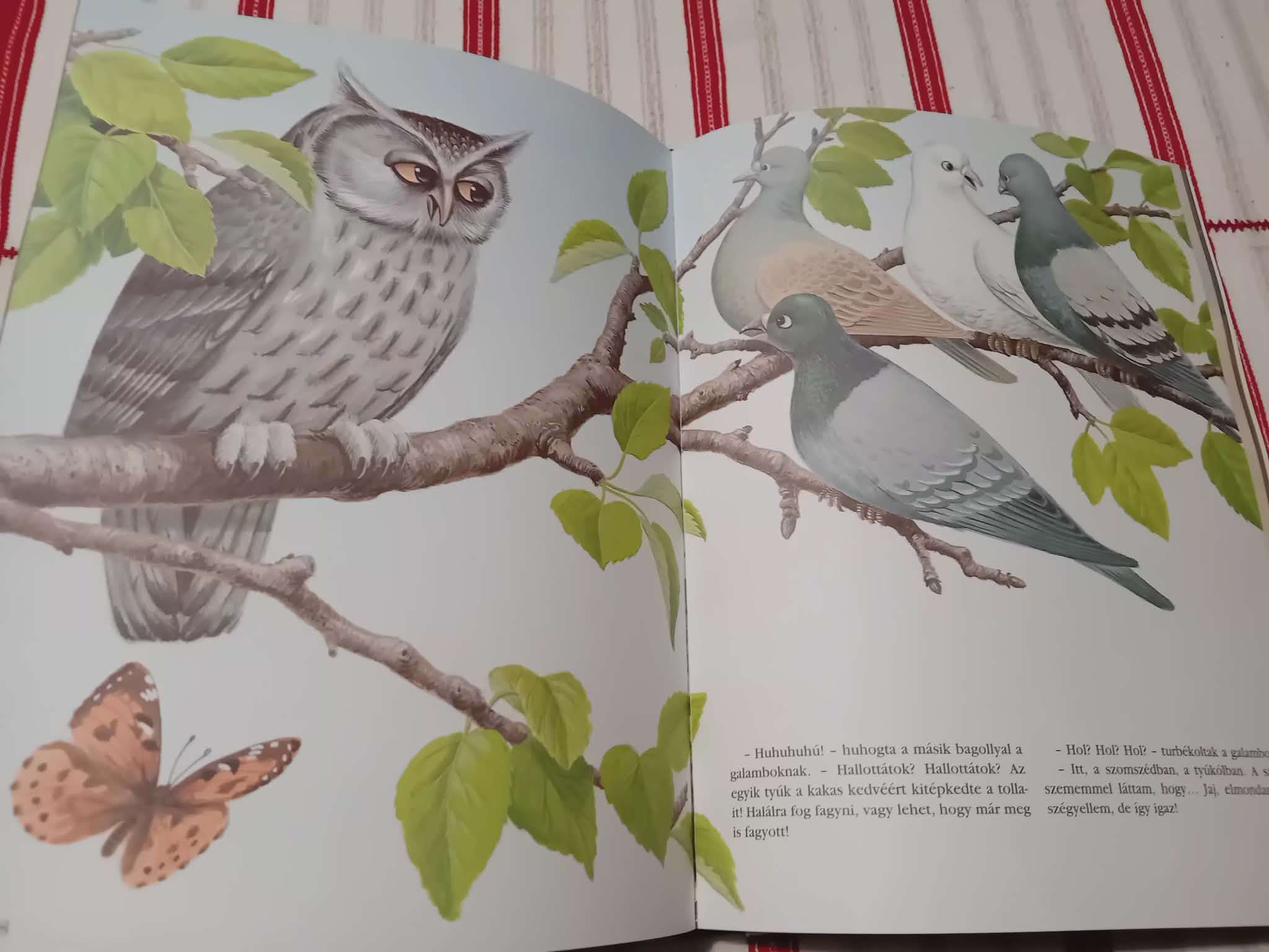 Illusztrált Andersen mesék könyve