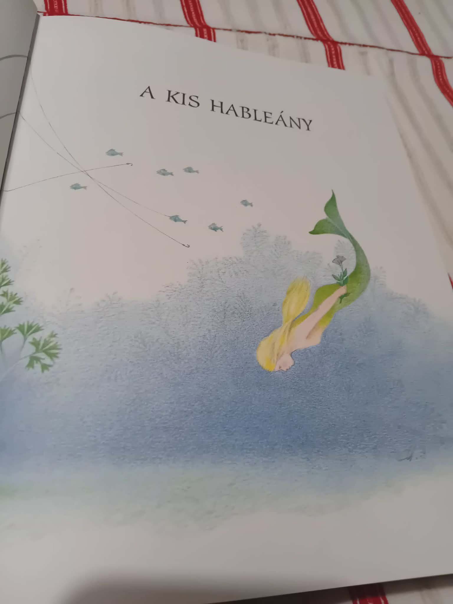 Illusztrált Andersen mesék könyve