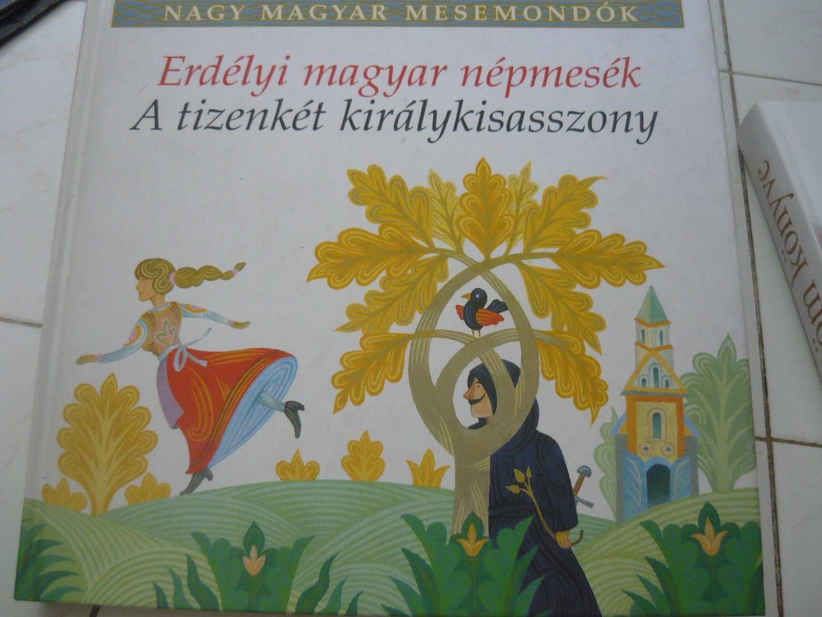 ERDÉLYI MAGYAR NÉPMESÉK