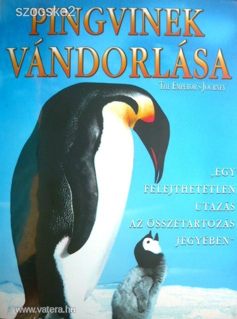 PINGVINEK VÁNDORLÁSA    DVD ( 2005 )
