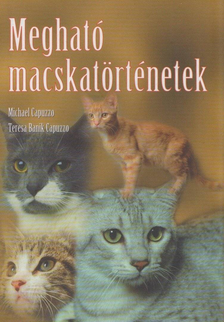 Megható macskatörténetek