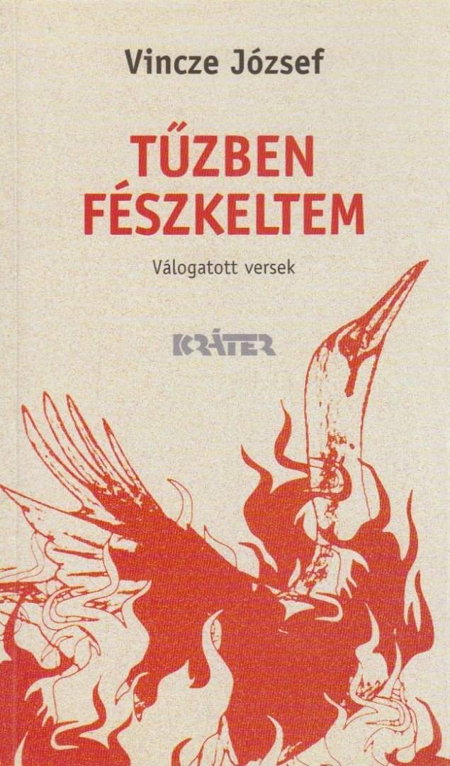 Tűzben fészleltem
