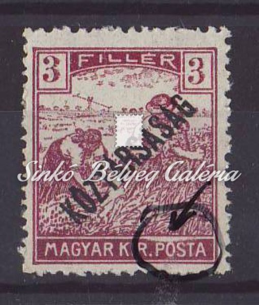 1919 koztarsasag