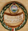 Kiváló Dolgozó V1513
