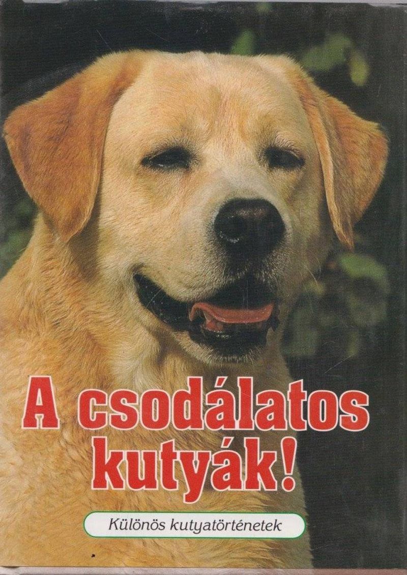 A csodálatos kutyák!