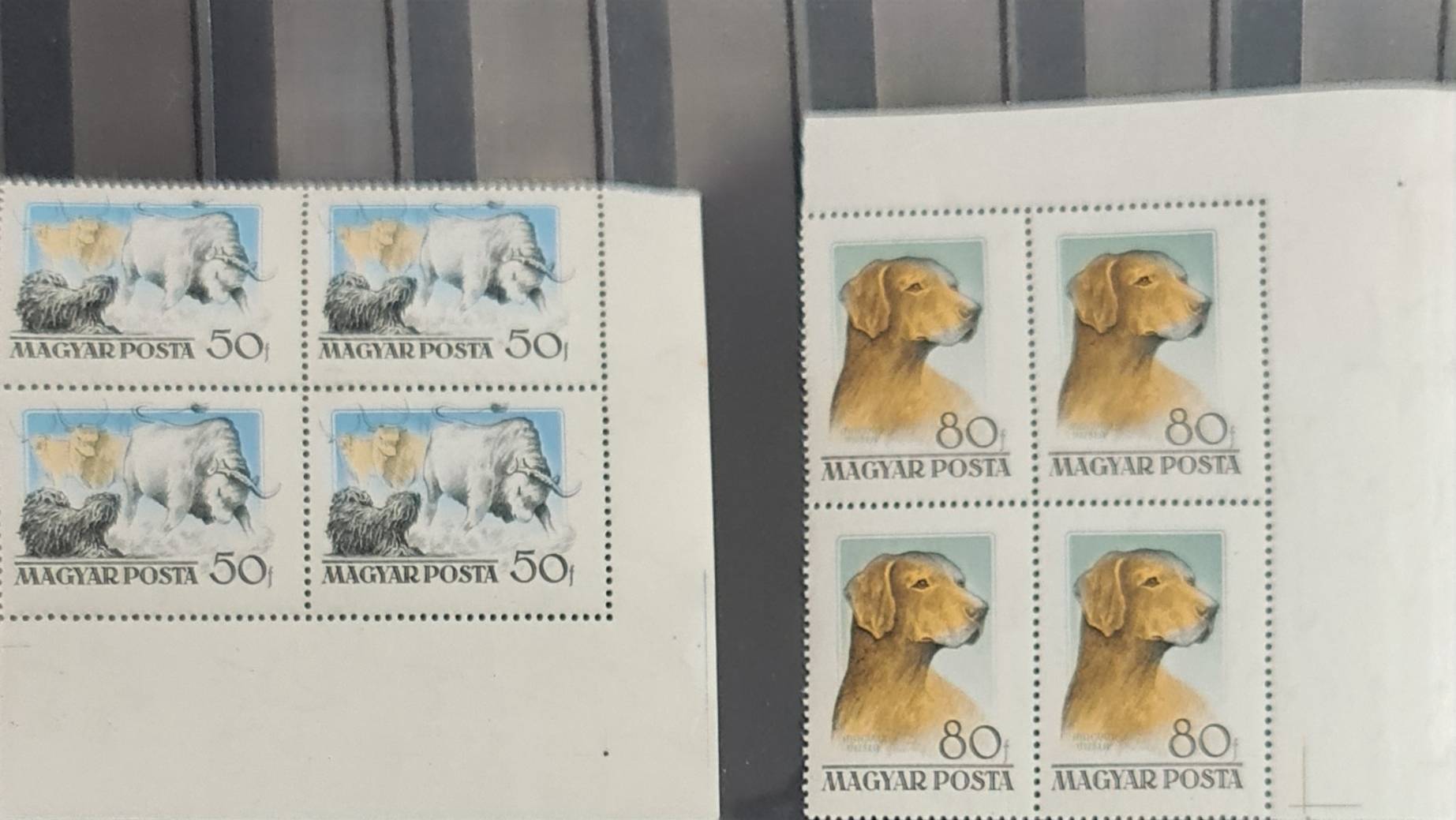 1956 Magyarországi kutyafajták (I.) Postatiszta, falcmentes, teljes sor. 4-es tömbökben **