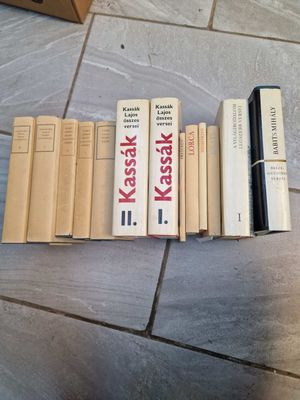 13 darab verseskötet