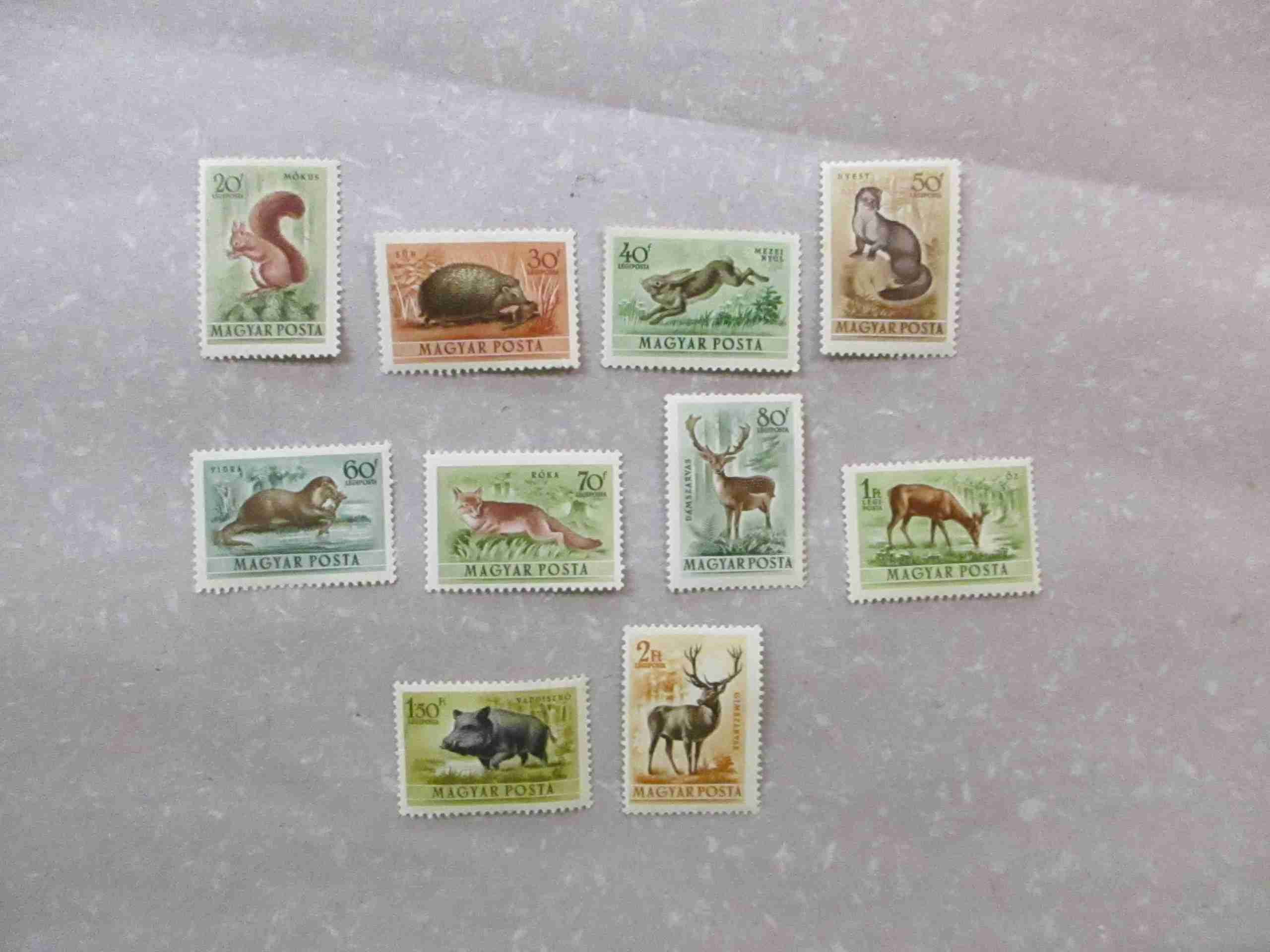 1953.  Erdei állatok **